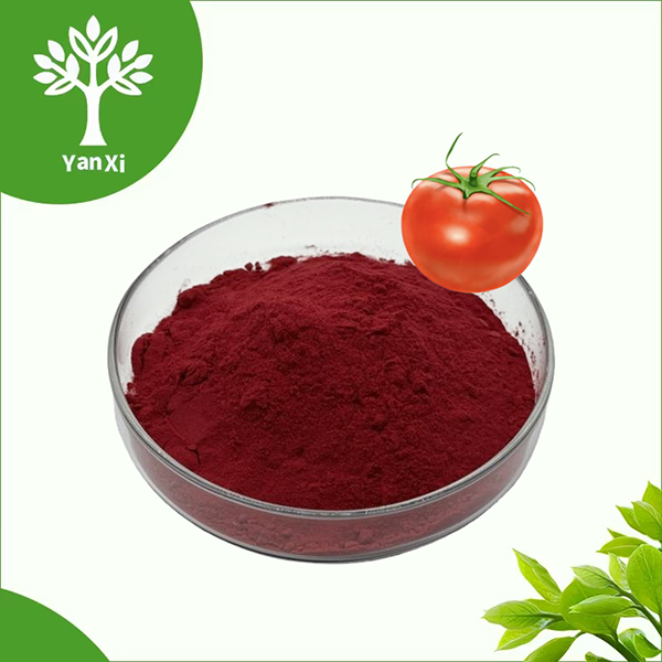 Bulk Lycopene Powder Bulk Lycopene Powder